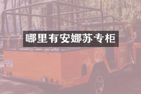 哪里有安娜苏专柜