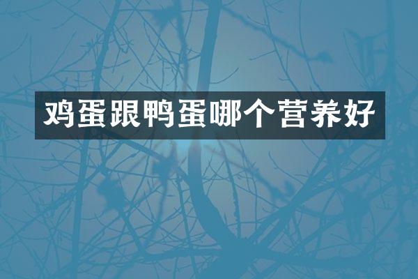 鸡蛋跟鸭蛋哪个营养好