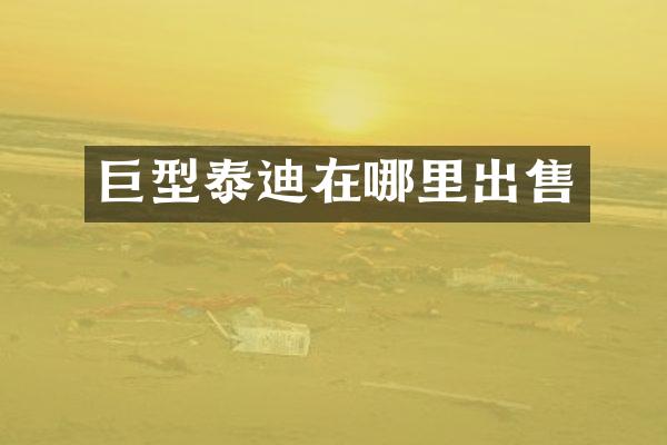 巨型泰迪在哪里出售