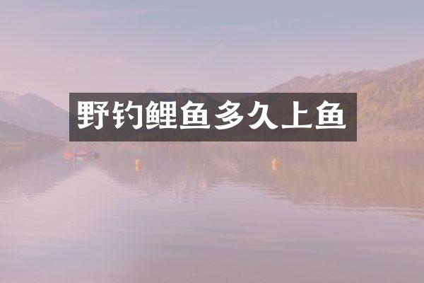 野钓鲤鱼多久上鱼
