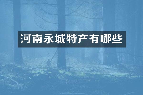 河南永城特产有哪些