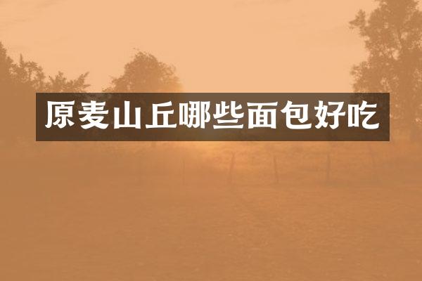 原麦山丘哪些面包好吃