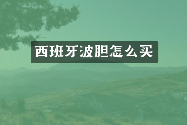 西班牙波胆怎么买
