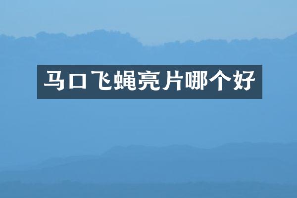 马口飞蝇亮片哪个好