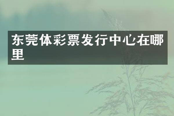 东莞体彩票发行中心在哪里