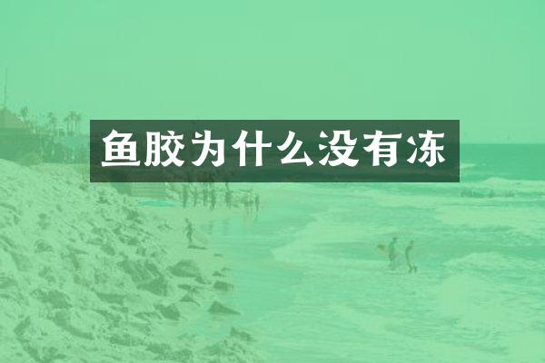 鱼胶为什么没有冻