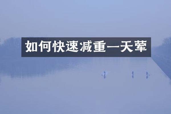 如何快速减重一天荤