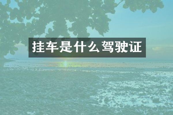 挂车是什么驾驶证