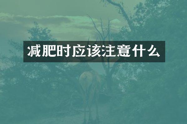 减肥时应该注意什么