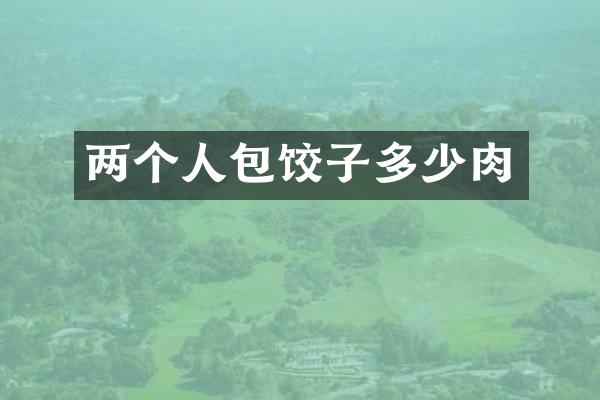 两个人包饺子多少肉