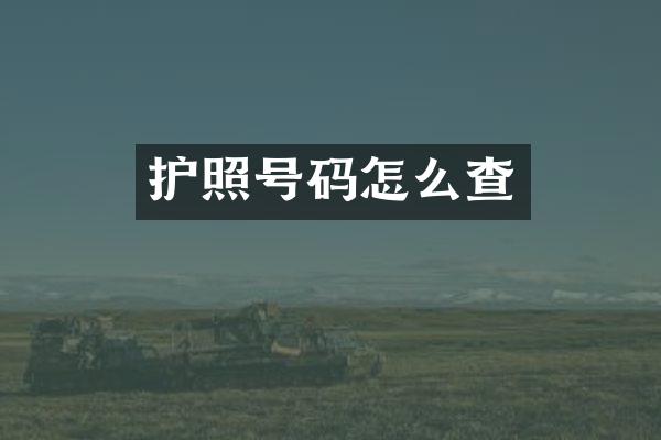 护照号码怎么查