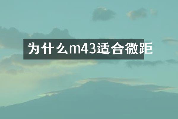 为什么m43适合微距