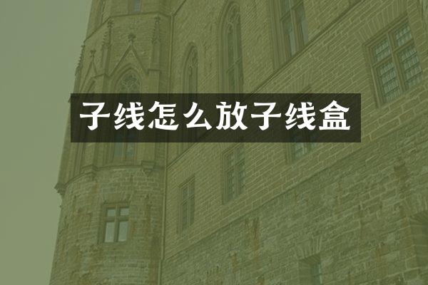 子线怎么放子线盒