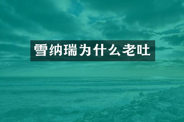 雪纳瑞为什么老吐