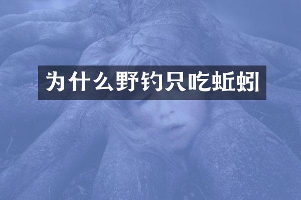 为什么野钓只吃蚯蚓