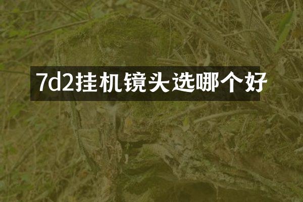 7d2挂机镜头选哪个好