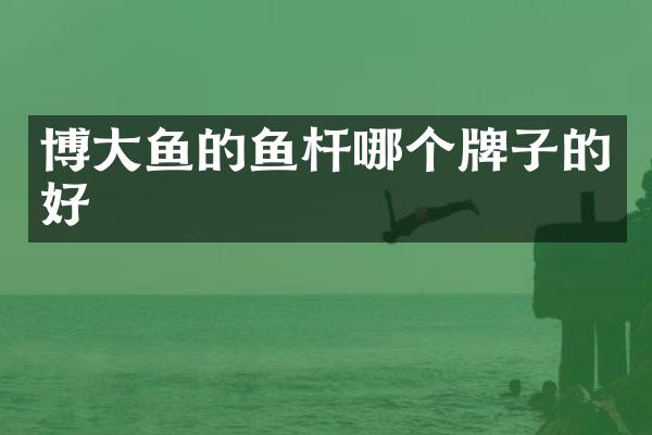 博大鱼的鱼杆哪个牌子的好