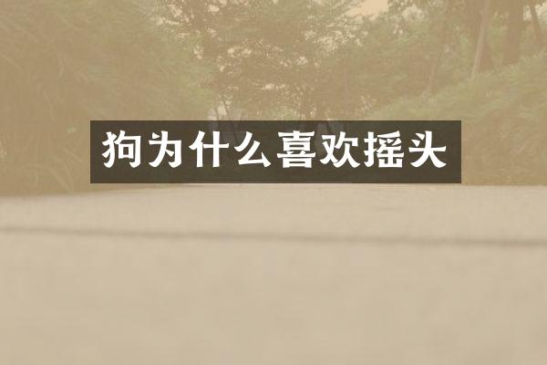 狗为什么喜欢摇头