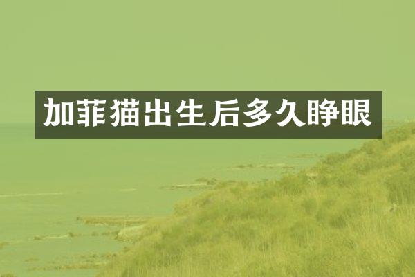 加菲猫出生后多久睁眼