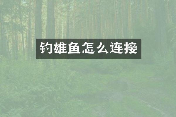 钓雄鱼怎么连接