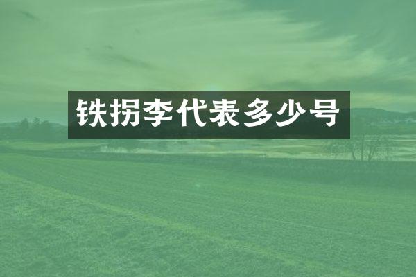 铁拐李代表多少号