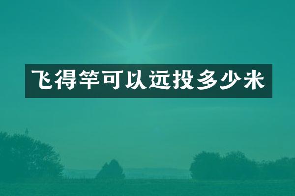 飞得竿可以远投多少米