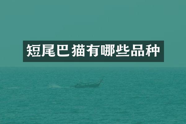 短尾巴猫有哪些品种