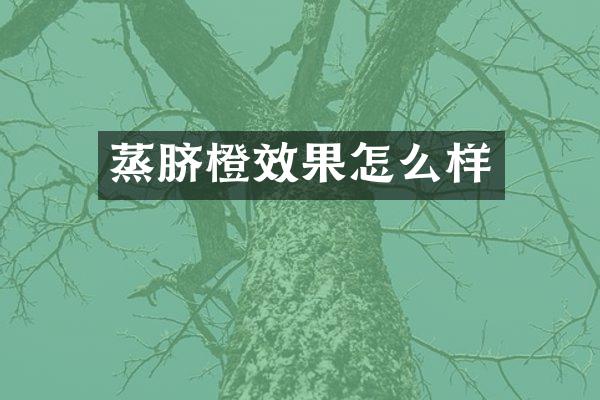 蒸脐橙效果怎么样