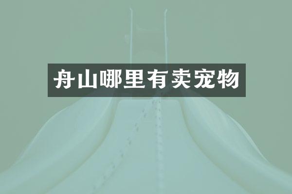 舟山哪里有卖宠物