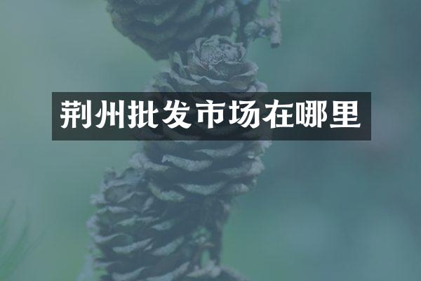 荆州批发市场在哪里