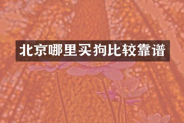 北京哪里买狗比较靠谱
