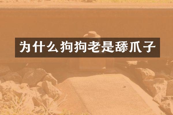 为什么狗狗老是舔爪子