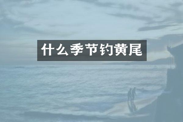 什么季节钓黄尾