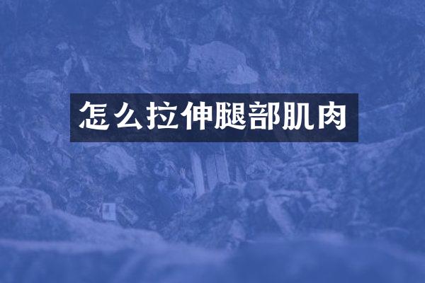 怎么拉伸腿部肌肉