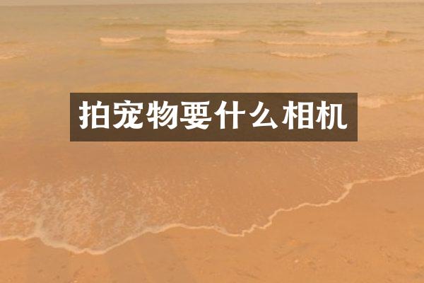 拍宠物要什么相机