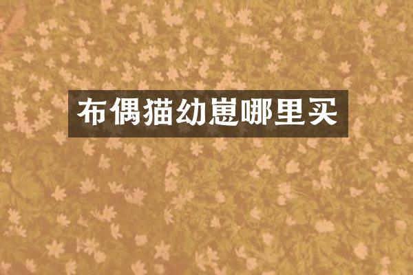 布偶猫幼崽哪里买