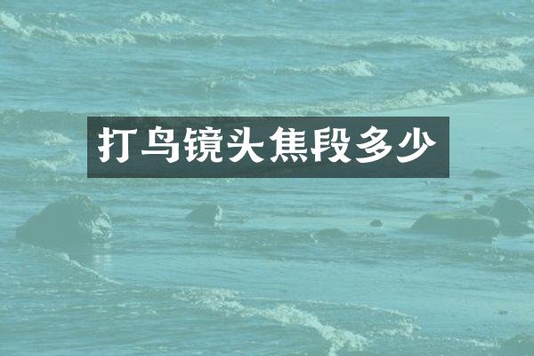 打鸟镜头焦段多少