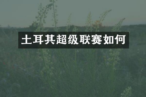 土耳其超级联赛如何