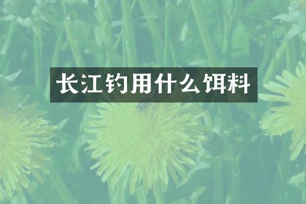 长江钓用什么饵料