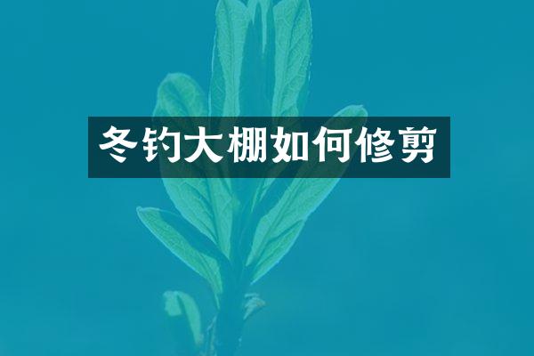 冬钓大棚如何修剪