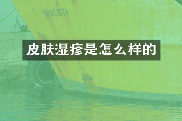 皮肤湿疹是怎么样的