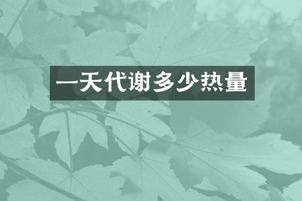 一天代谢多少热量