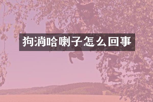 狗淌哈喇子怎么回事