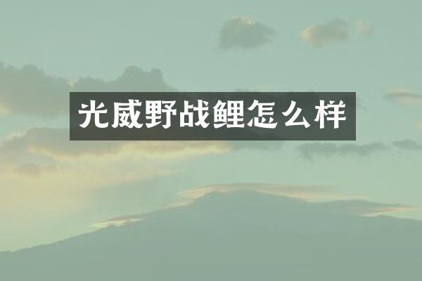 光威野战鲤怎么样