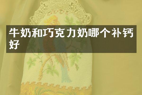 牛奶和巧克力奶哪个补钙好