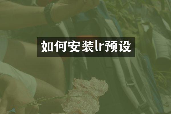 如何安装lr预设