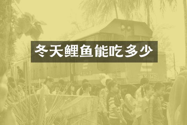 冬天鲤鱼能吃多少