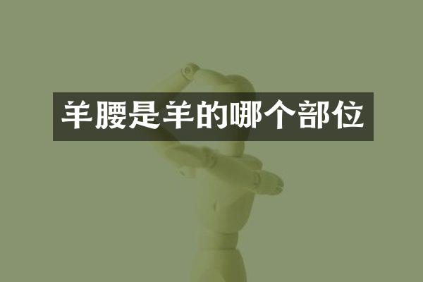 羊腰是羊的哪个部位