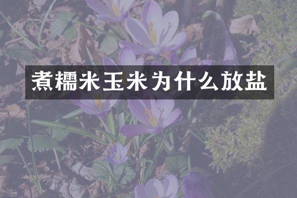 煮糯米玉米为什么放盐