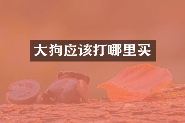 大狗应该打哪里买
